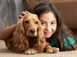 For Your Pet